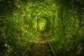 Old forest and railway tunel of love Royalty Free Stock Photo