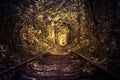 Old forest and railway tunel of love Royalty Free Stock Photo