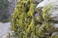 Old forest road in the Alps. Mossy old stone walls Royalty Free Stock Photo