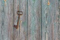 An old forged beautiful rusty key hangs on an old iron nail on a wooden wall, with peeling paint Royalty Free Stock Photo