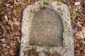 An old, forgotten cemetery in a pine, high forest.