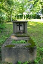 Old forgotten grave