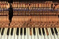 An old and forgotten piano in a city park. The view of the broken keyboard Royalty Free Stock Photo