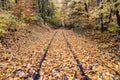 Old and forgotten railway tracks in a colorful autumn forest. For background Royalty Free Stock Photo