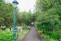 Old forrested cemetery in reykjavik