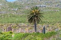 Old forrestry station next to Chapmans Peak drive Royalty Free Stock Photo