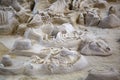 Old fossils in the Ashfall Fossil Beds State Historical Park in Nebraska, USA Royalty Free Stock Photo