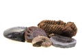 Old fossils collection Royalty Free Stock Photo
