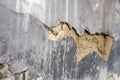 Old foundation and plaster wall with cracks. Building requiring repair closeup. Royalty Free Stock Photo