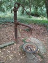 Old fount in a garden