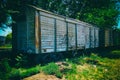 Old freight car abandoned Royalty Free Stock Photo