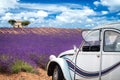 Old french car in front of lavender field in provence france Royalty Free Stock Photo