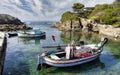 French fishing boats in a tiny natural harbor