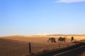 Old Frontier Homestead Royalty Free Stock Photo