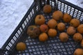 Old frozen apples in a basket in winter on the street