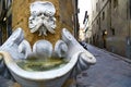 Old funny fountain in Florence, Italy Royalty Free Stock Photo