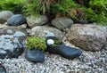 Old galoshes in the form of decorations in the garden