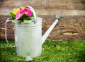 Old galvanised metal watering can Royalty Free Stock Photo