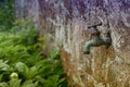 Old Garden Faucet Royalty Free Stock Photo