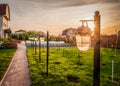 Old garden light with waterproof cover in sunset rays. Landscape design Royalty Free Stock Photo