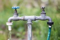 Old garden tap Royalty Free Stock Photo