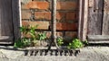 Old garden tool. dirty rusty rake on brick wall