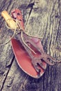 Old garden tools Royalty Free Stock Photo