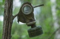 An old gas mask hanging on a tree