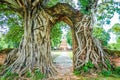 Old gate with banyan root called `Gateway to the passage of time` at ruins of Wat Phra Ngam, Phra Nakorn Si Ayutthaya,