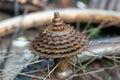 Old gear sprocket with rusty of retro bicycle close - up was taken by a macro lens Royalty Free Stock Photo