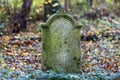 Old German gravestone in a closed cemetery in Poland.