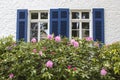 Old German house with wooden windows with wooden shutters and rhododendron Royalty Free Stock Photo