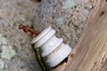 Isolated old white glass insulator on a cedar fence post Royalty Free Stock Photo