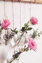 Old glass jars are reused as flower vases. DIY Home natural Decor. Feng shui elements. Wedding decoration Royalty Free Stock Photo