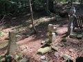 The old glaziers cemetery in a Forest park Jankovac or Staklarsko groblje u Park sumi Jankovac Royalty Free Stock Photo