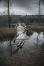 Old and gloomy wooden bridge over the river. Detachment in the water. Gloomy and mysterious forest. Cloudy sky. Royalty Free Stock Photo