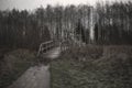 Old and gloomy wooden bridge over the river. Detachment in the water. Gloomy and mysterious forest. Cloudy sky. Royalty Free Stock Photo