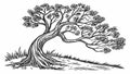 Old Gnarly Oak Tree Vector Engraving Illustration, vector design Generative AI Royalty Free Stock Photo
