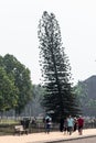 Tourists walking past a tall pine tree in the gardens around the UNESCO heritage site of Old Goa