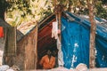 Old Goa, India. Unemployed people live in tents on the street. Migrants from other Indian states travel to Goa for rough