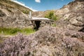 Old gold mine in Central Otago