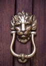 Old golden iron lion head door knocker on a wooden door. Mdina, Malta Royalty Free Stock Photo