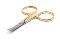 Old golden manicure scissors