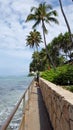 Old Golden Retriever Dog Walks along Seaside Path to Makalei Beach Park Royalty Free Stock Photo