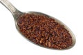 In the old golden spoon there is a small pile of food - dry African red tea Rooibos isolated macro