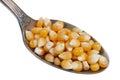 In the old golden spoon there is a small pile of food - dry yellow corn  grains isolated macro Royalty Free Stock Photo