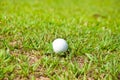 Old golf ball Royalty Free Stock Photo