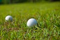 Old golf ball Royalty Free Stock Photo