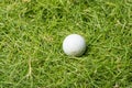 Old golf ball on green grass Royalty Free Stock Photo
