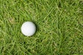 Old golf ball on green grass Royalty Free Stock Photo